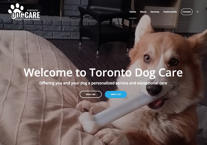 Website design for Toronto dog walker