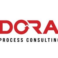 Logo design for Dora Process Consulting